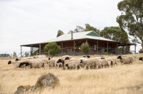 Gilgraves Vineyard Farmstay